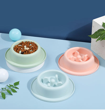 Cat and Dog Shared Pet Slow Food Slow Food Bowl