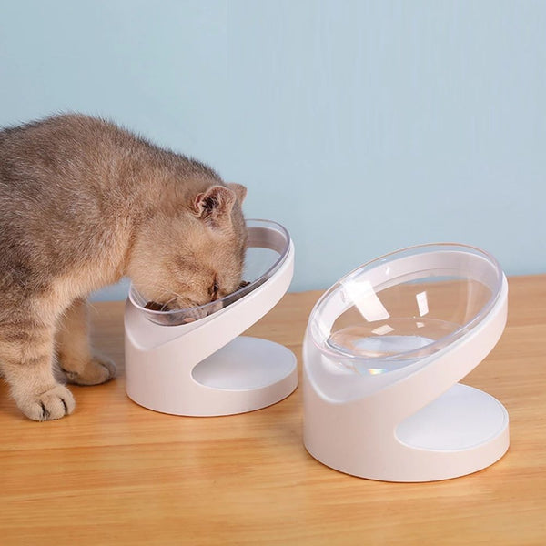 Tilted Neck-Relief Pet Food Bowl