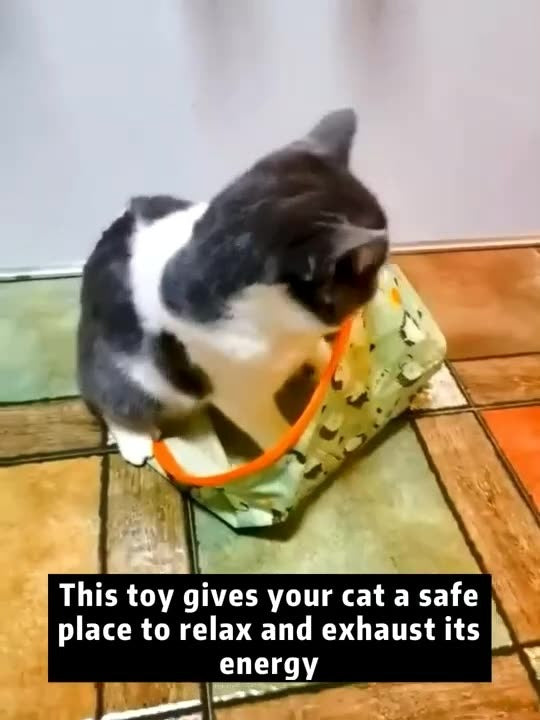 Cat Tunnel Rolling Dragon Toy