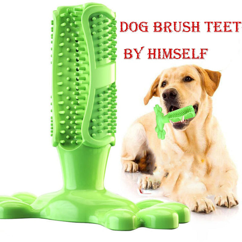 Dog Dental Brushing Stick Toy