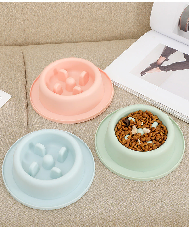 Cat and Dog Shared Pet Slow Food Slow Food Bowl