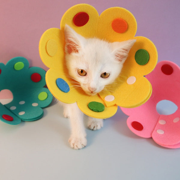 Pet Recovery E-Collar
