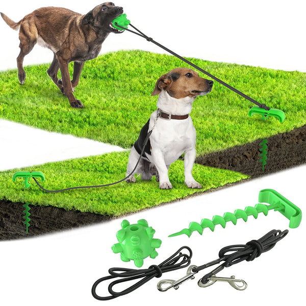 Tough Outdoor Plastic Dog Toy
