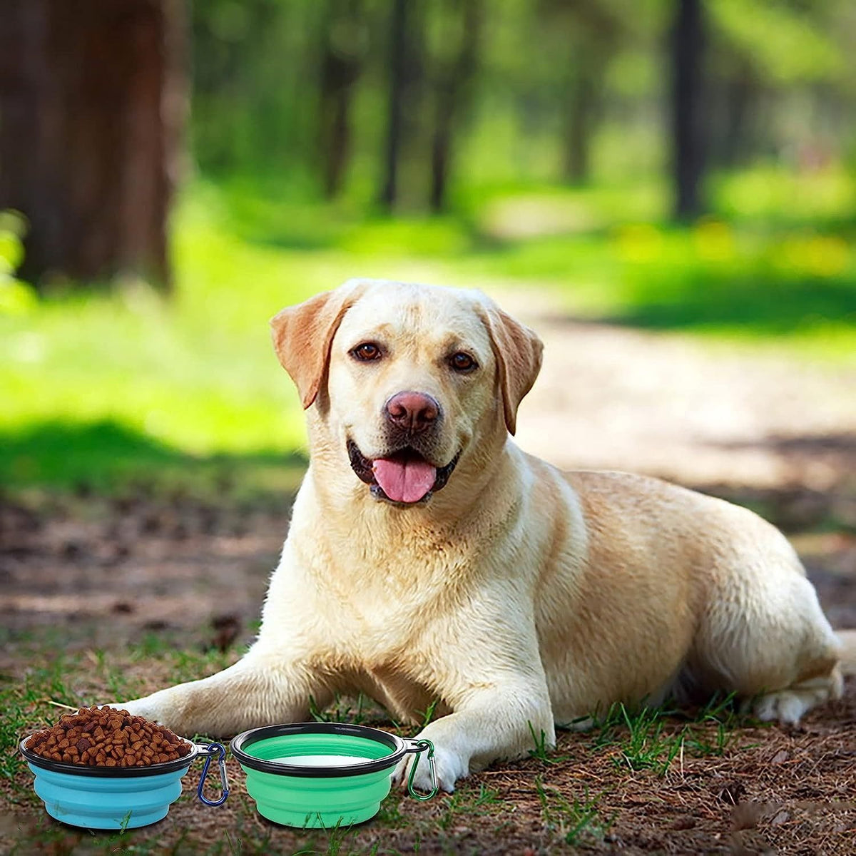 Portable pet dog folding bowl slow food bowl silicone pet bowl dog basin cat bowl drinking water supplies