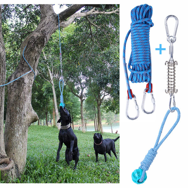 Spring Rope Hanging Dog Toy