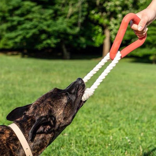 TPR Triangle Tug & Chew Dog Toy